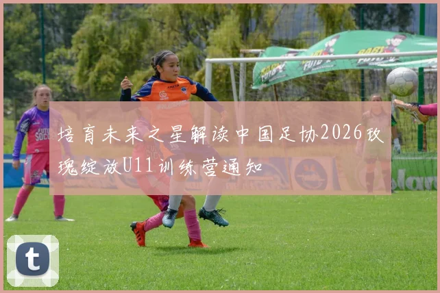 培育未来之星解读中国足协2026玫瑰绽放U11训练营通知